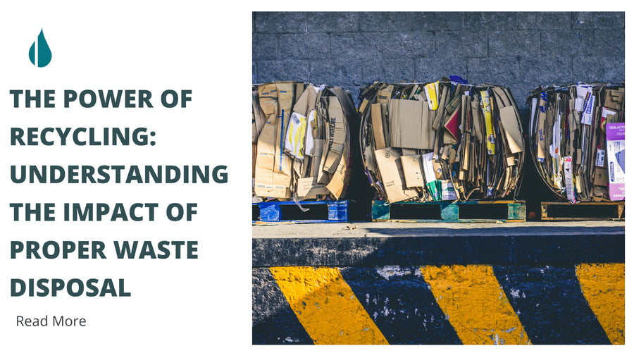 The Power of Recycling: Understanding the Impact of Proper Waste Disposal