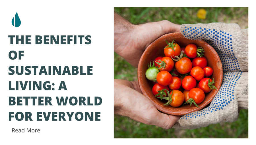 The Benefits of Sustainable Living: A Better World for Everyone